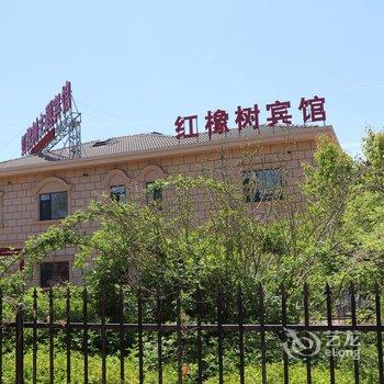 红橡树主题宾馆(大连金石滩发现王国店)酒店提供图片