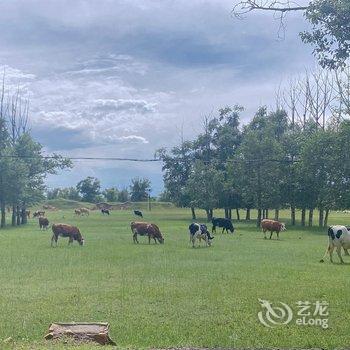 张北山水林云酒店酒店提供图片