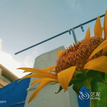 朱家尖梓煜民宿(南沙景区沙滩)酒店提供图片