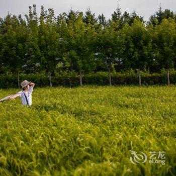 长春慢山里民宿酒店提供图片