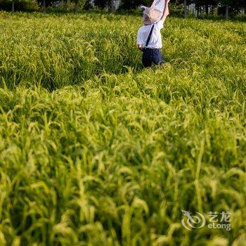 长春慢山里民宿酒店提供图片