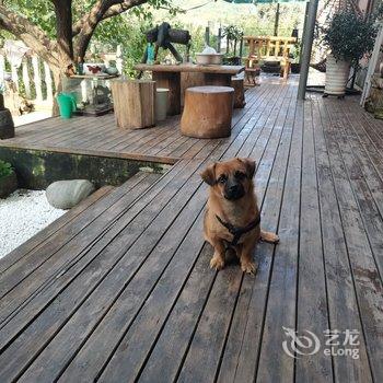 青岛物外山舍民宿酒店提供图片