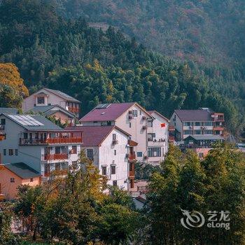 临安古树枫林民宿(指南村店)酒店提供图片