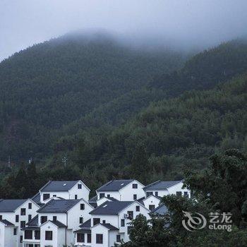 临安古树枫林民宿(指南村店)酒店提供图片