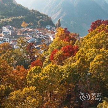 临安古树枫林民宿(指南村店)酒店提供图片