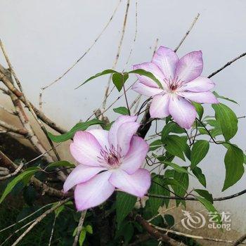 北京妙园民宿酒店提供图片