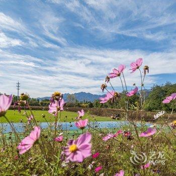 花筑奢·闲山别墅民宿(北京野鸭湖国家湿地公园店)酒店提供图片