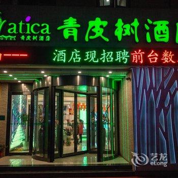 青皮树酒店(滕州火车站新兴路步行街店)酒店提供图片