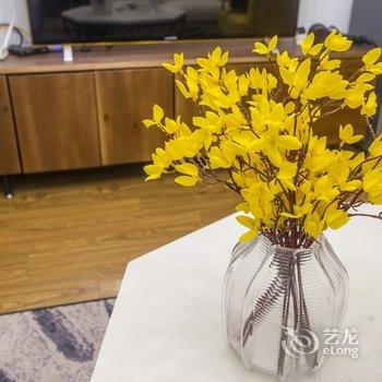 西安Locals路客·西安碑林A19舍公寓(小雁塔路分店)酒店提供图片