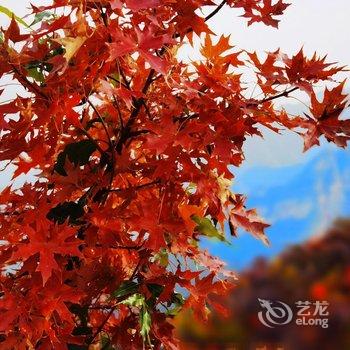 染舍民宿酒店提供图片