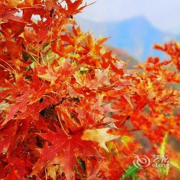 染舍民宿酒店提供图片