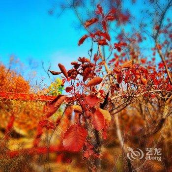 染舍民宿酒店提供图片