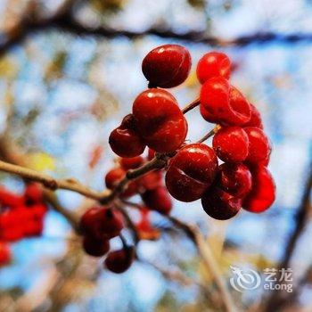 染舍民宿酒店提供图片