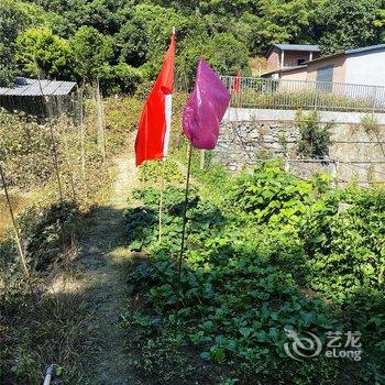 博罗罗浮山莫洞果园农庄酒店提供图片