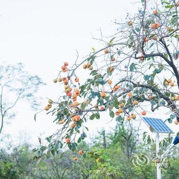 北京肆然·借山户外私汤观山野奢独院酒店提供图片