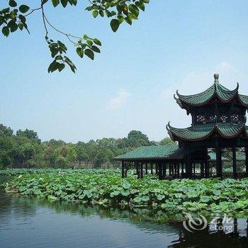 成都tinsha公寓酒店提供图片