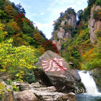 临安古树枫林民宿(指南村店)酒店提供图片