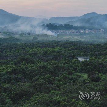 广州玉溪古荔园精品民宿酒店提供图片