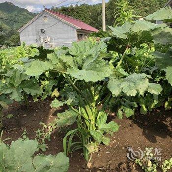 北京琉璃山水民俗餐厅酒店提供图片