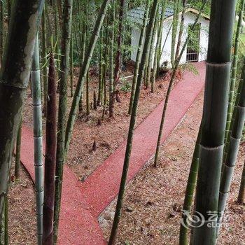 重庆竹里馆酒店酒店提供图片