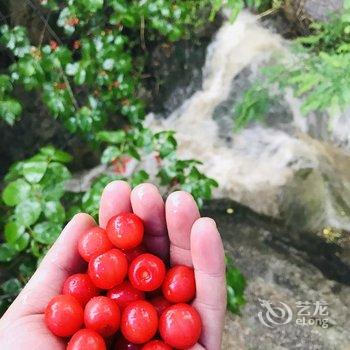 青岛悠山庭院民宿酒店提供图片