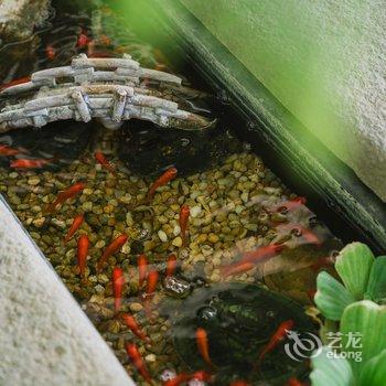 花筑·海韵花园海景客栈(鼓浪屿三丘田码头店)酒店提供图片