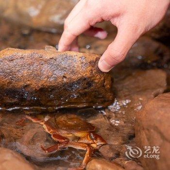 重庆雅翠民宿酒店提供图片