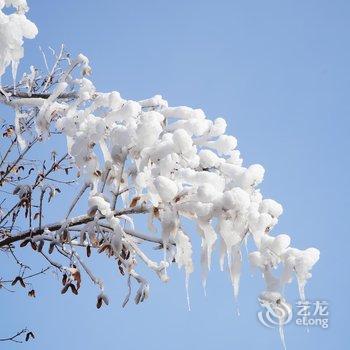 北京白河湾朝林松源酒店酒店提供图片