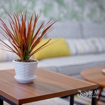 PLA1258公寓(凤城南路分店)酒店提供图片