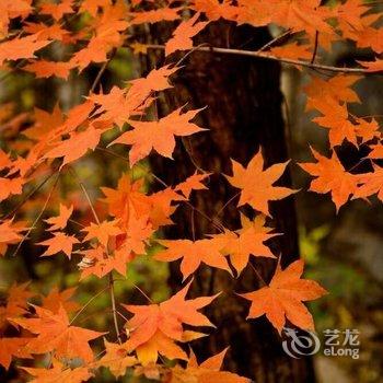 雾灵山悠山雅居度假小院酒店提供图片