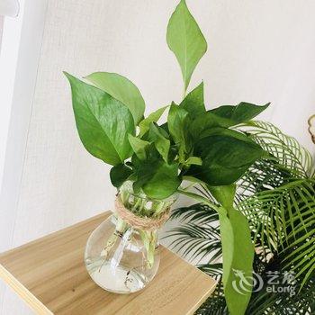 西安松林小苑公寓(方园音教分店)酒店提供图片