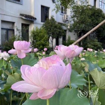 天台花涧水墨民宿酒店提供图片