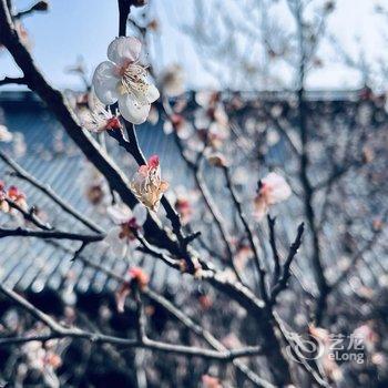 天台花涧水墨民宿酒店提供图片