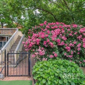 青岛依山阁主公寓酒店提供图片