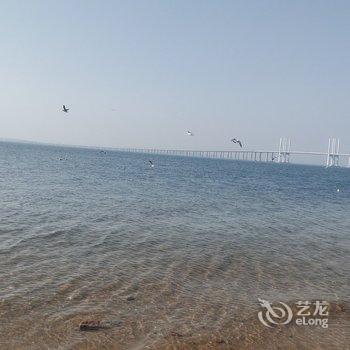 青岛政泽公寓酒店提供图片