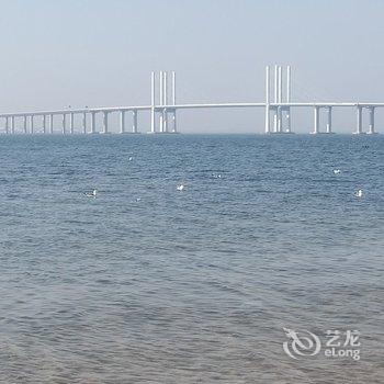 青岛政泽公寓酒店提供图片