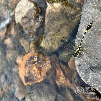 遇见舍民宿(杭州双溪竹海径山店)酒店提供图片