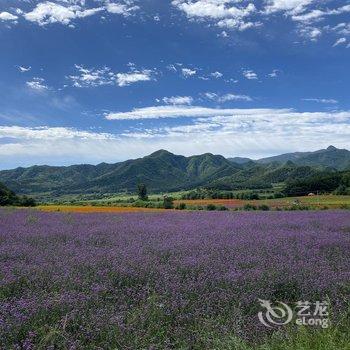 北京小溪嘟嘟民宿酒店提供图片