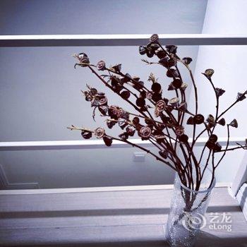 重庆橘绿澄黄公寓酒店提供图片