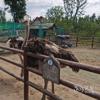 北京山谷青年旅社酒店提供图片