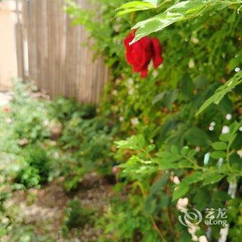 北京山谷青年旅社酒店提供图片