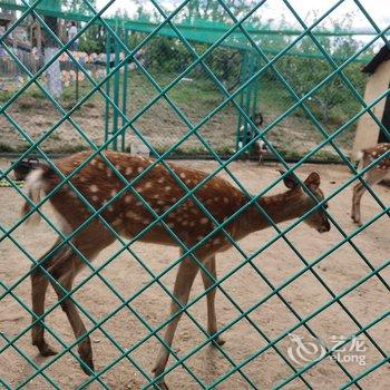 北京山谷青年旅社酒店提供图片