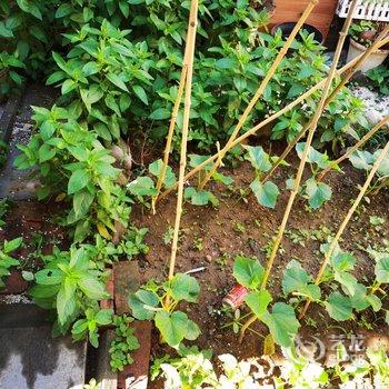 北京山谷青年旅社酒店提供图片