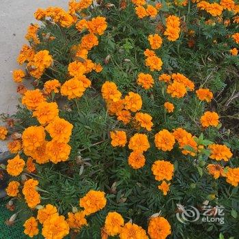 北京山谷青年旅社酒店提供图片