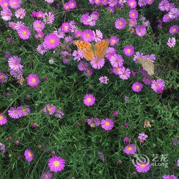 北京山谷青年旅社酒店提供图片