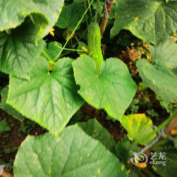 北京山谷青年旅社酒店提供图片