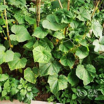 北京山谷青年旅社酒店提供图片