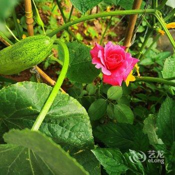 北京山谷青年旅社酒店提供图片