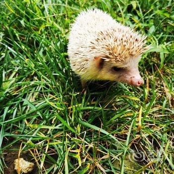 北京山谷青年旅社酒店提供图片