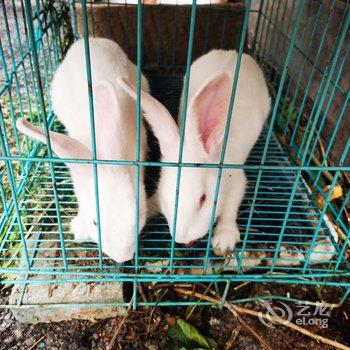 北京山谷青年旅社酒店提供图片